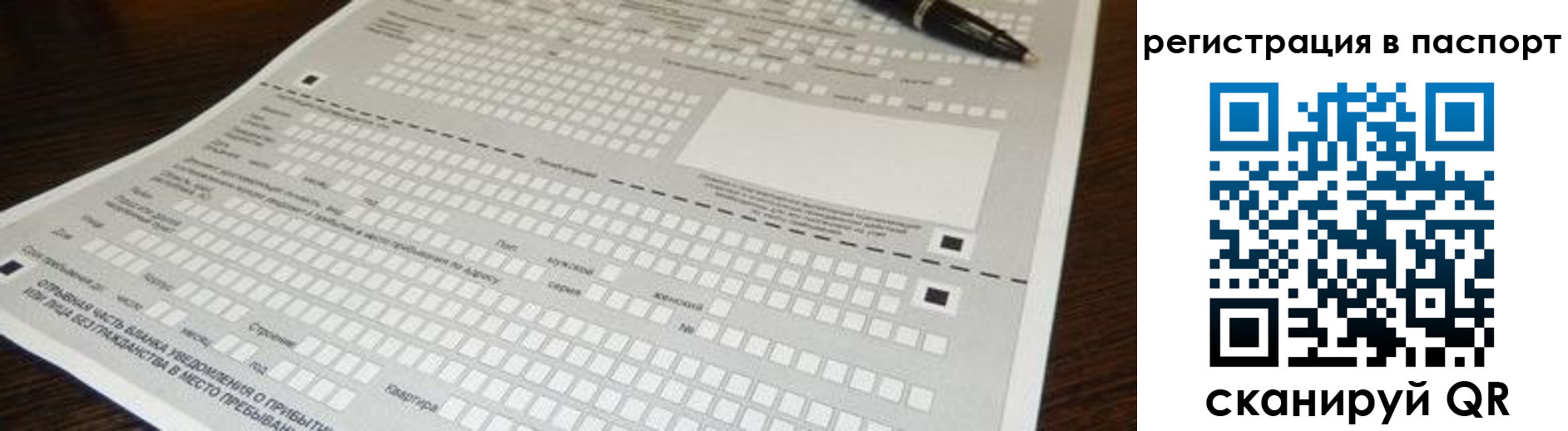 где прописаться в Нелидово